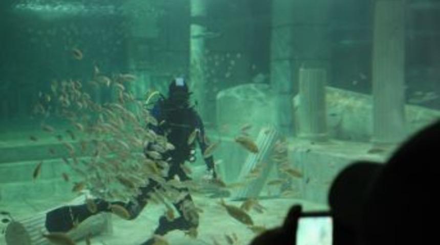 Akvaryuma Okyanus &Ouml;tesinden Misafir