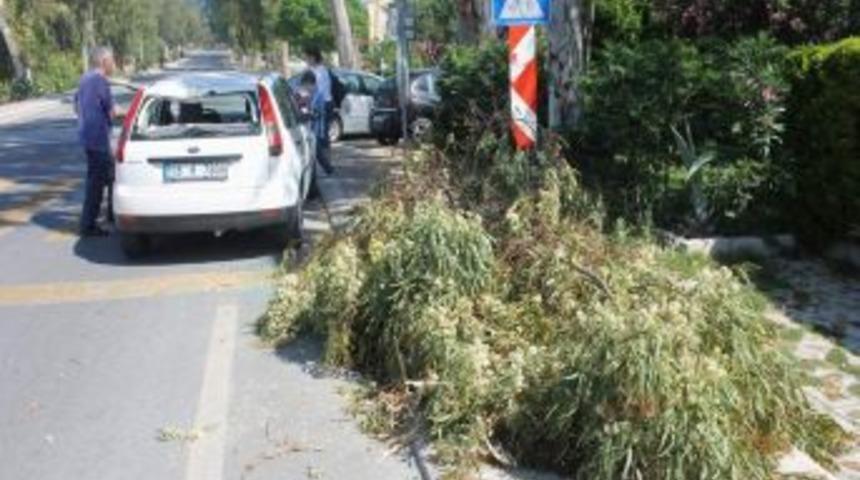 G&ouml;r&uuml;nmez Kaza