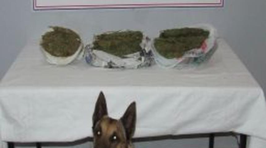 Jandarma Yol Kontrol&uuml;nde 3 Kilo Esrar Ele Ge&ccedil;irdi