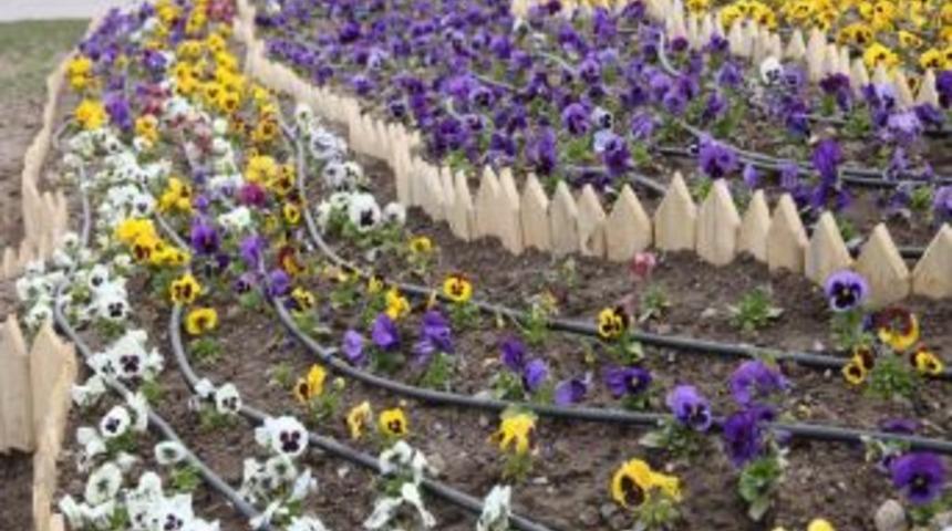 Elazığ'da Peyzaj &Ccedil;alışmaları