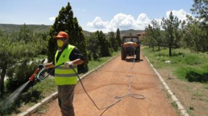 Sungurlu'da Keneyle M&uuml;cadele &Ccedil;alışmaları Start Aldı