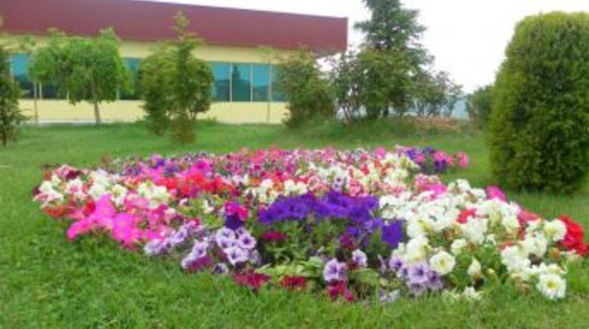 Kırıkkale &Ccedil;i&ccedil;eklerle Donatılıyor