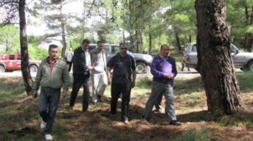 Ormanlarda Yangın Mevsimi &Ouml;ncesi Teknik İnceleme