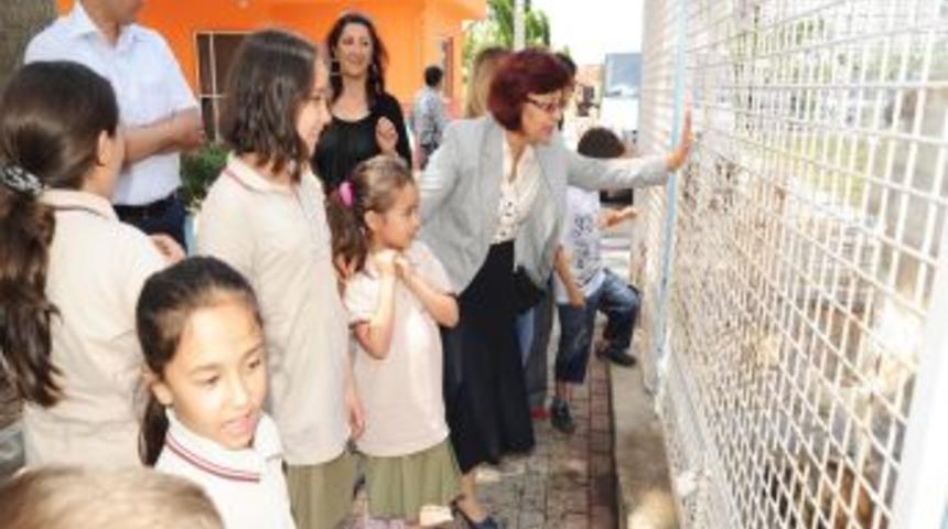 &Ouml;ğrencilerden Sokak Hayvanlarına Şefkat Eli