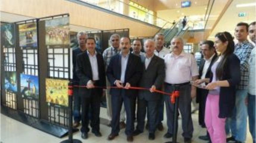 "tarım Ve İnsan" Konulu 3. Ulusal Fotoğraf Sergisi Sakarya'da A&ccedil;ıldı