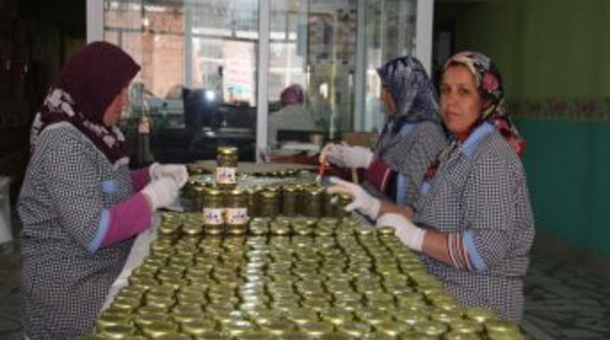 Kaparinin MS Hastalığında Y&uuml;zde 80 &Ccedil;are Olduğu Saptandı