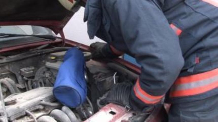 Otomobile Saklanan Yılanı S&uuml;t Vererek Yakalamaya &Ccedil;alıştılar