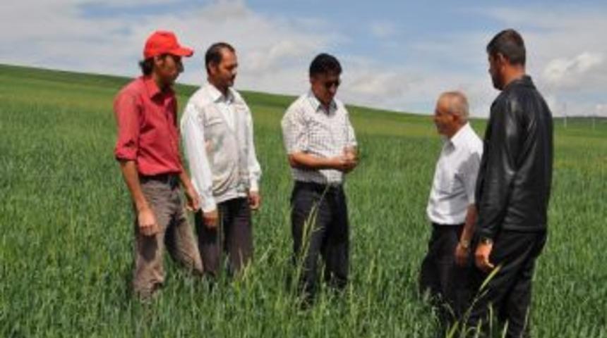 S&uuml;ne Ile M&uuml;cadele &Ccedil;alışmaları Başladı