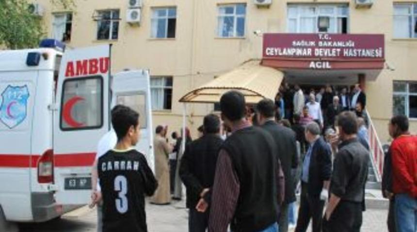 Yılan Sulama İş&ccedil;isini Soktu