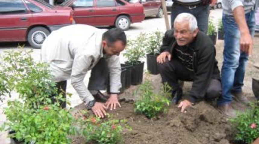 Sorgun Belediyesi Park Ve Bah&ccedil;eleri &Ccedil;i&ccedil;eklendiriyor