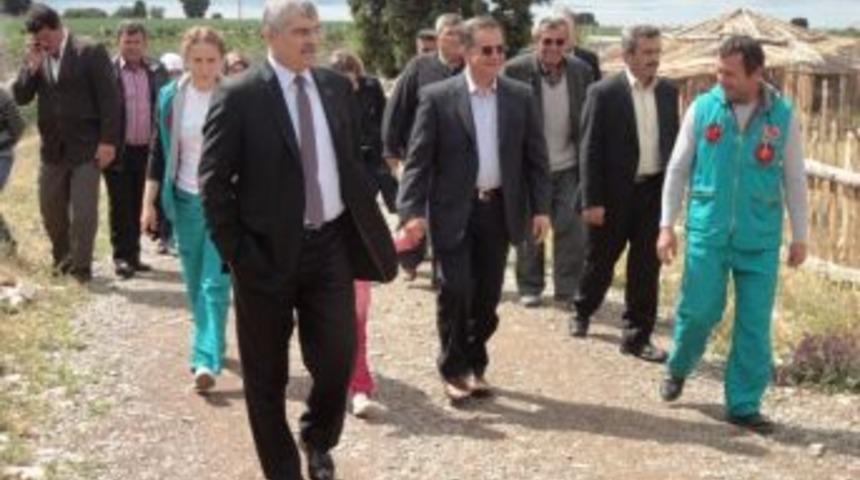 Vali Tapsız, Lisinia'yı Gezdi