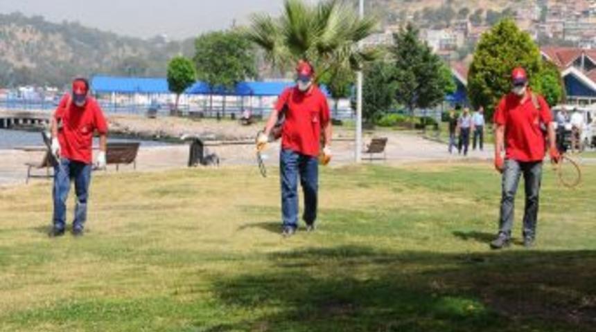 İzmir&rsquo;de Son &Uuml;&ccedil; Yılda 30 Bin Kene Şikayeti Yapıldı