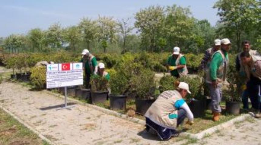 Roman A&ccedil;ılımına İŞKUR&rsquo;dan Destek: 850 Kişi Istihdam Edildi