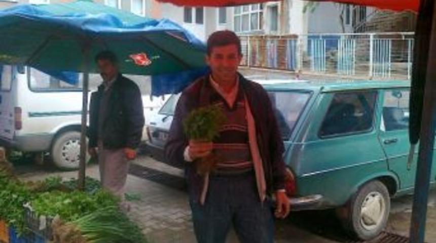 Hisarcık'ta Organik Sebze Fidesi İhtiyacını Hasanlar Beldesi Karşılıyor