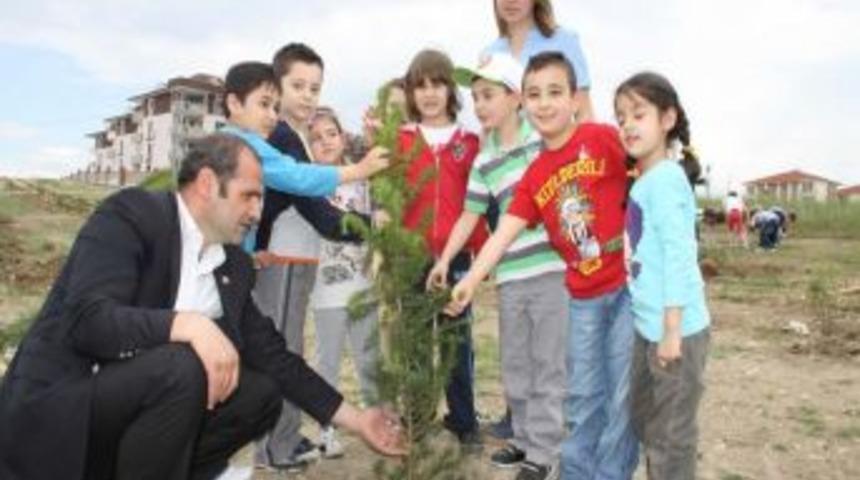 &Ccedil;evkor Hatıra Korusuna Fidan Dikildi