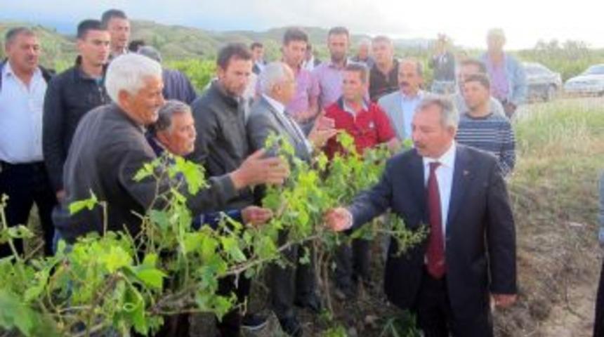 &Ouml;ren, Manisa'daki Dolu Afetini Meclis G&uuml;ndemine Taşıdı