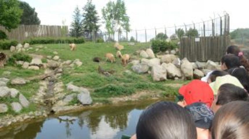 İlk&ouml;ğretim &Ouml;ğrencileri, Yaban Hayatı Konusunda Bilgilendirildi