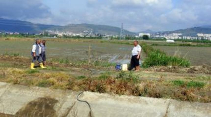 S&ouml;keli Pamuk&ccedil;u Yağışlardan &Ccedil;ekiyor