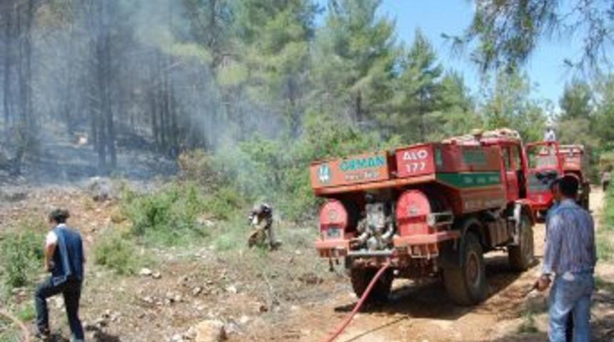 Silifke'de Orman Yangını