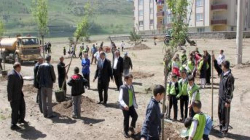 Paland&ouml;ken'de &Ouml;ğrenciler Fidan Dikti