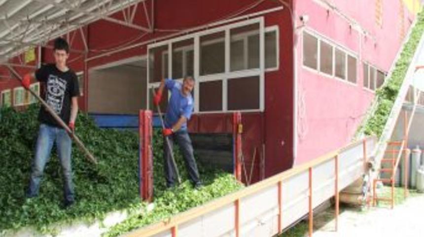 Giresun &Ccedil;ayı Tirebolu 42 &Ccedil;ayı İle Rize &Ccedil;ayı'na Rakip Olmayı Hedefliyor