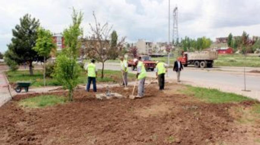 Sivas'ta Otomatik Sulama Sistemleri Yapımı Sürüyor