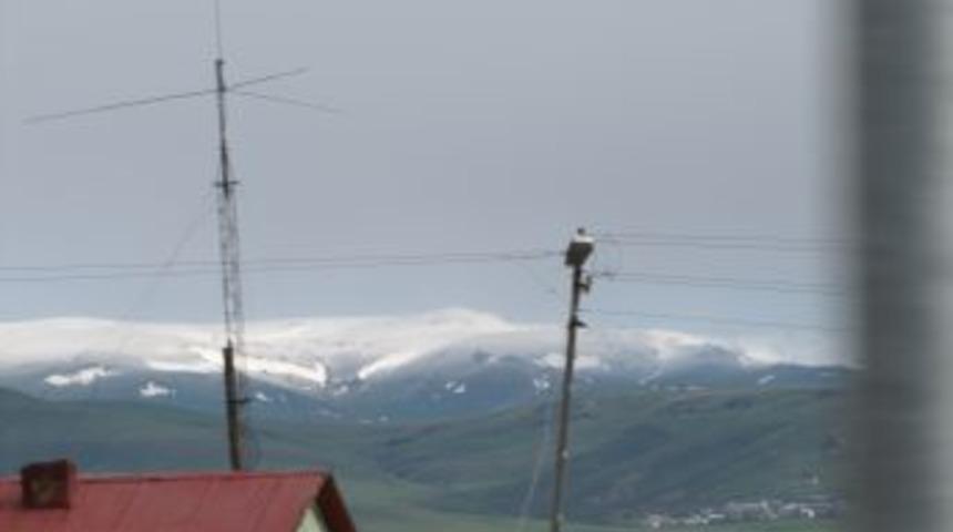 Sarıkamış Beyaza Y&uuml;r&uuml;nd&uuml;