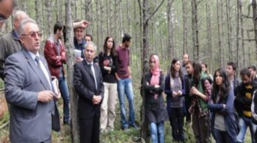 Orman M&uuml;hendisliği &Ouml;ğrencileri Bursa Ormanlarını Gezdi