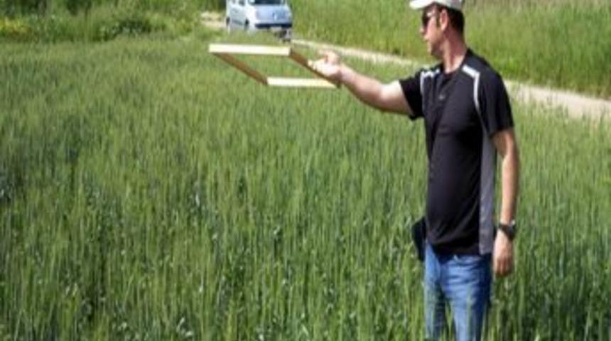 Aydın'da S&uuml;neyle M&uuml;cadele &Ccedil;alışmaları Devam Ediyor