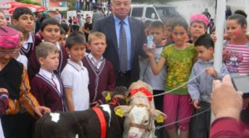 &Ccedil;an'da S&uuml;t Şenliği