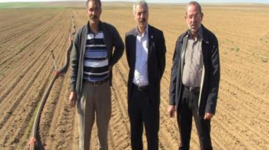 Kulu'da Soya Fasulyesi &Uuml;retilecek