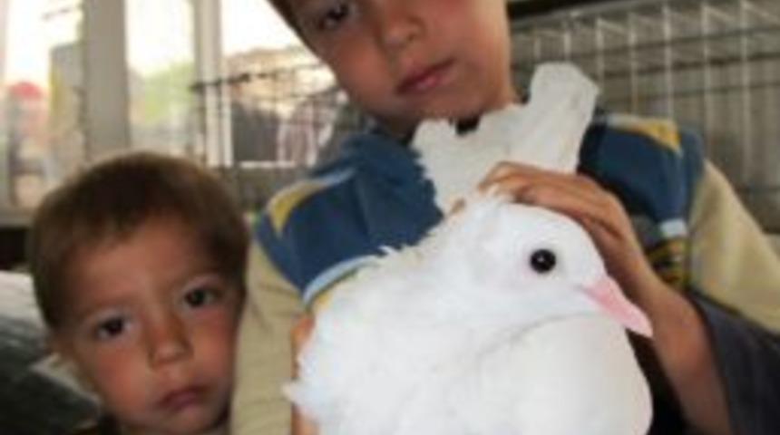 G&uuml;vercin Tutkunları Edremit'te Buluştu