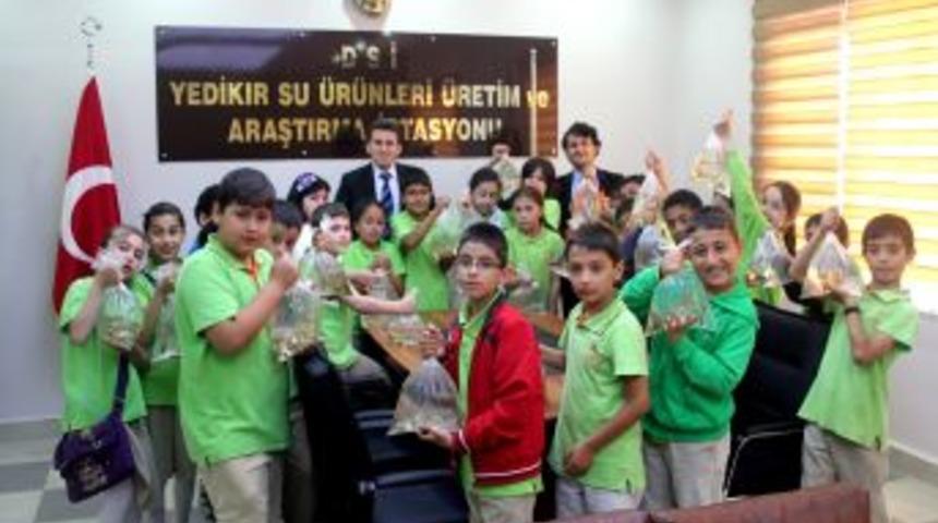 İlköğretim Öğrencileri, DSİ Gölüne Yavru Sazan Bıraktı