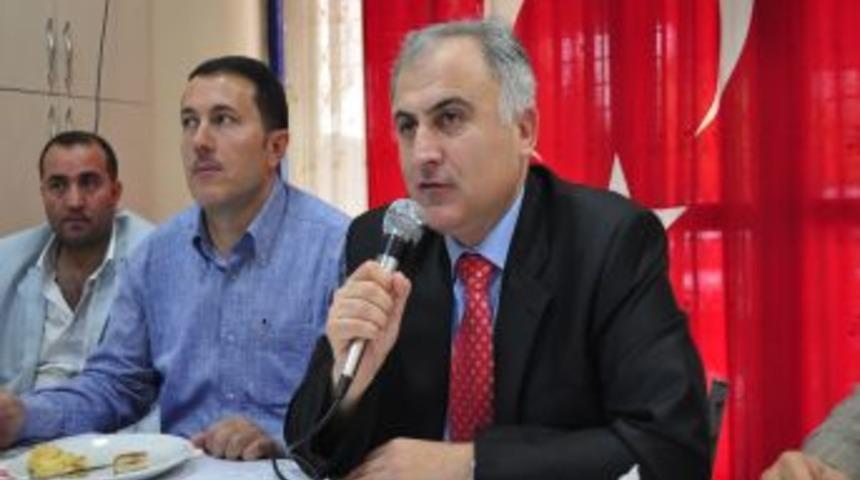 Kocaeli'de B&uuml;y&uuml;kbaş Hayvanlar Kayıt Altına Alındı