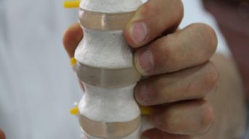 Kronik Ağrılara Manuel Terapi Ile Birka&ccedil; Dakikada Son