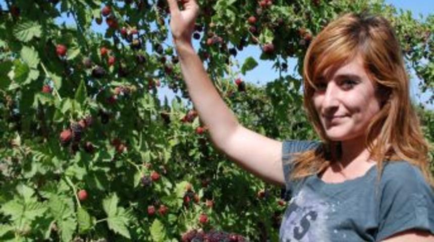 Kayısıda Y&uuml;z&uuml; G&uuml;lmeyen &Uuml;reticiyi B&ouml;ğ&uuml;rtlen Sevindirdi