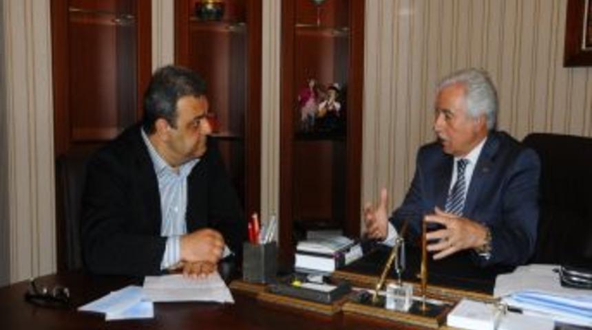 Portakal &Ccedil;i&ccedil;eği Festivali Geliyor