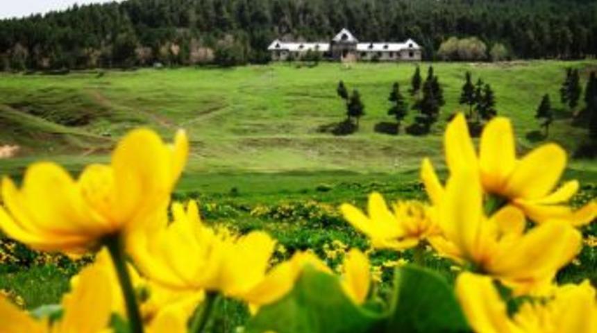 Katerina K&ouml;şk&uuml;'nden Seyirlik G&ouml;r&uuml;nt&uuml;ler