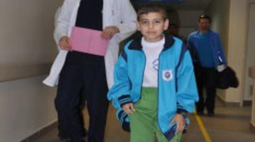 Bolu'da Kene Alarmı