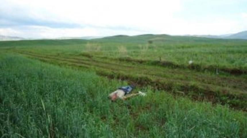 &Uuml;zerine Yıldırım D&uuml;şen &Ccedil;oban Hayatını Kaybetti