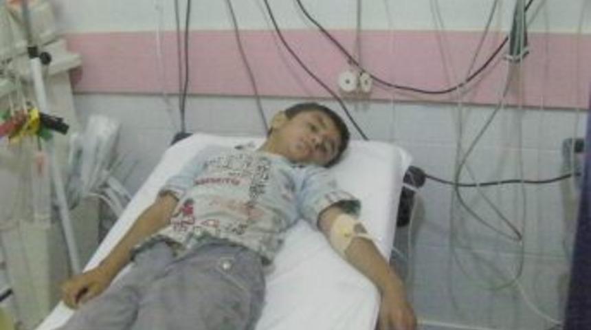 Ceylanpınar'da Trafik Kazası: 1 Yaralı