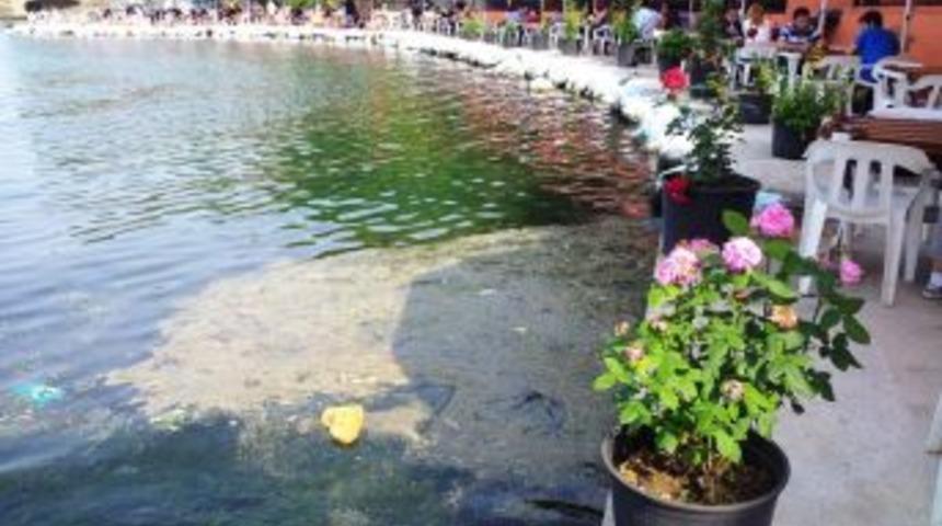 Denizdeki Kirliliğe '&ccedil;i&ccedil;ek'li Makyaj