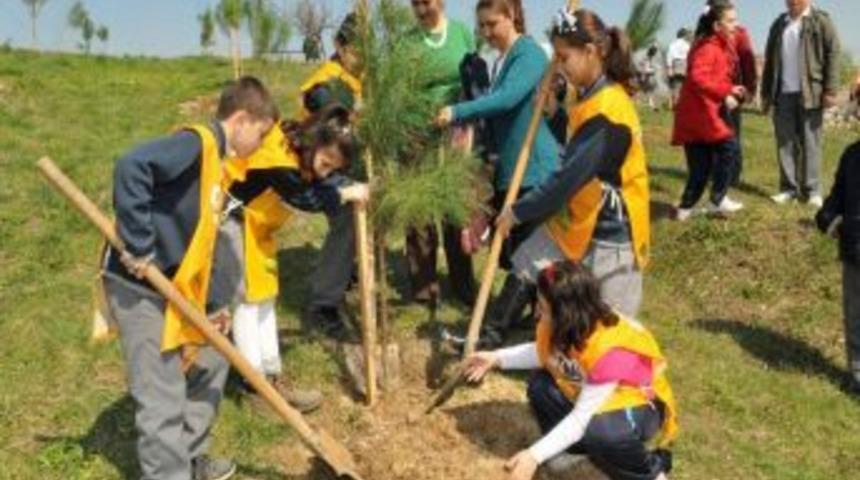 Ormanlar Kanser Riskini Azaltıyor