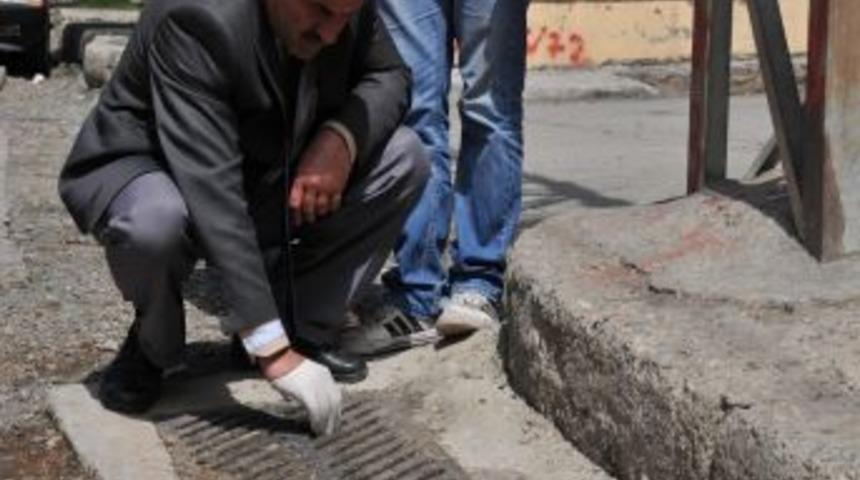 Belediye Farelere Savaş Açtı