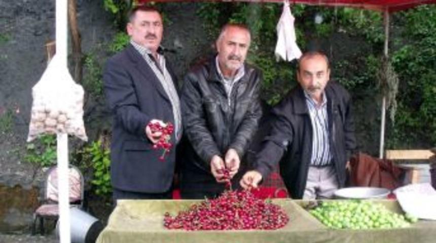 Salihli'de Kiraz &Uuml;reticilerini Dolu Vurdu