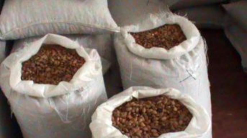 Badem Içi Kaçakçıları Suçüstü Yakalandı