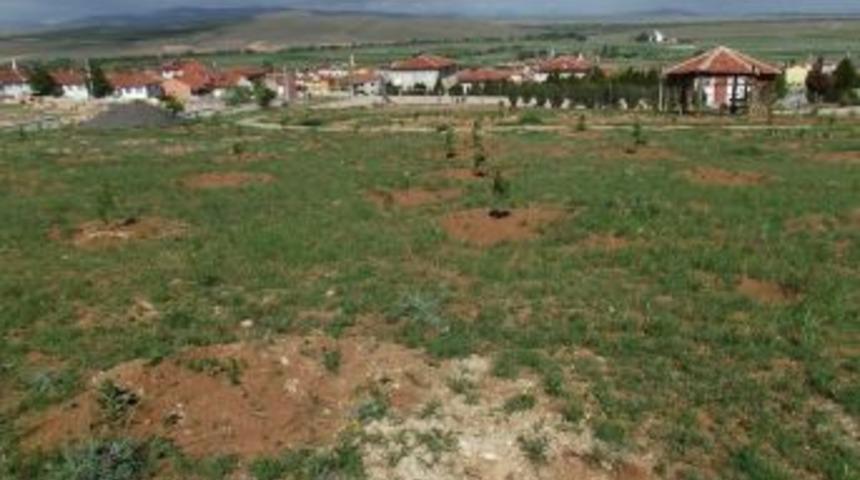 Proje Fidanları "su" Bekliyor