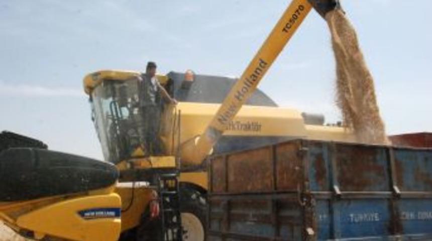 Hasat Mevsimi Başladı: Ambarlar Doluyor, &Ccedil;ift&ccedil;inin Y&uuml;z&uuml; G&uuml;l&uuml;yor