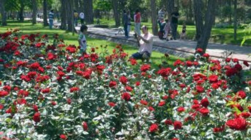 Denizli, &Ccedil;i&ccedil;eklerle Renklendi