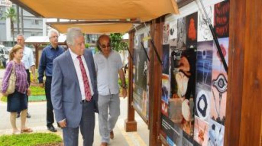 'abidin Dino Sanat Parkı' &Ccedil;alışmaları